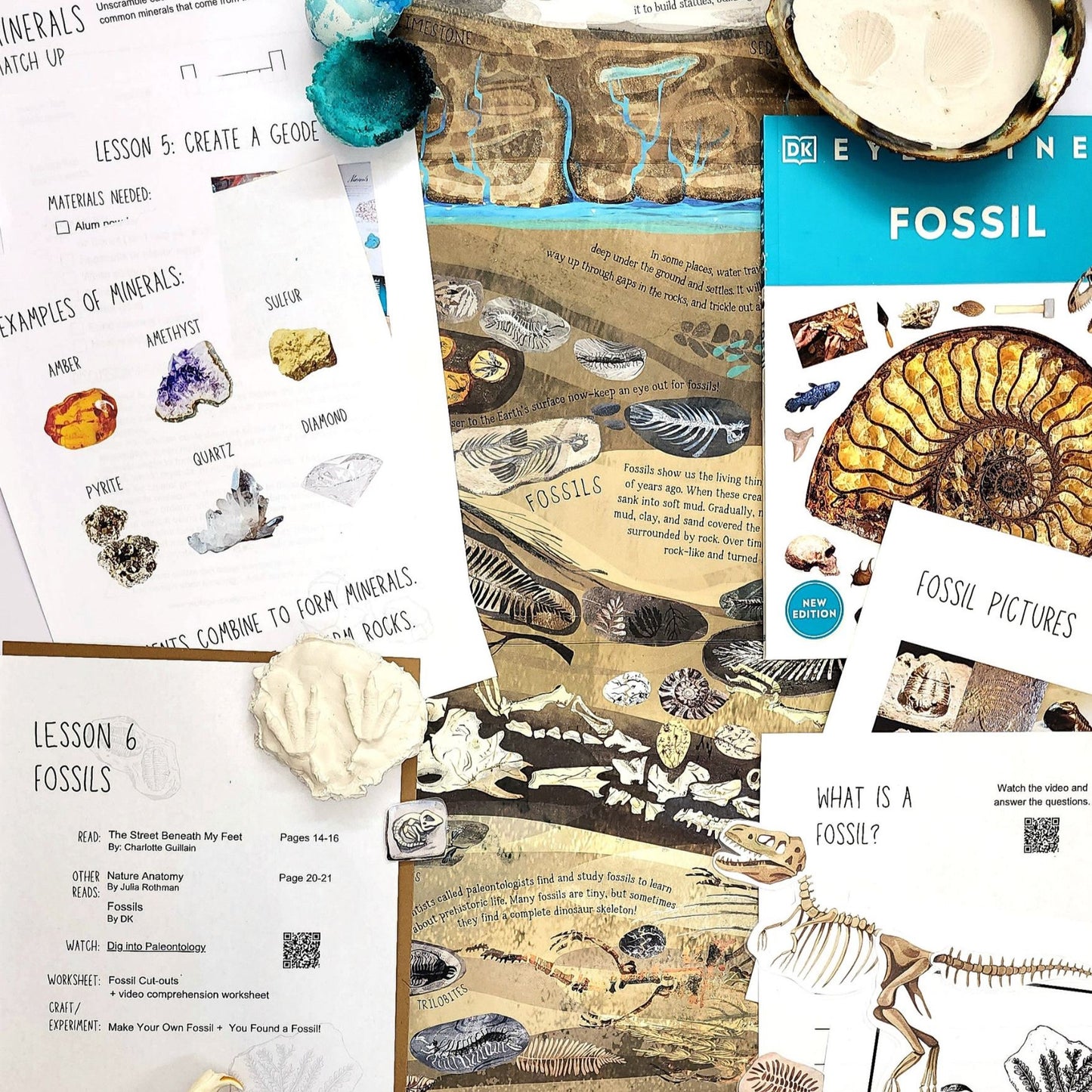 The Ground Beneath Us Geology Earth Science Homeschool Guide