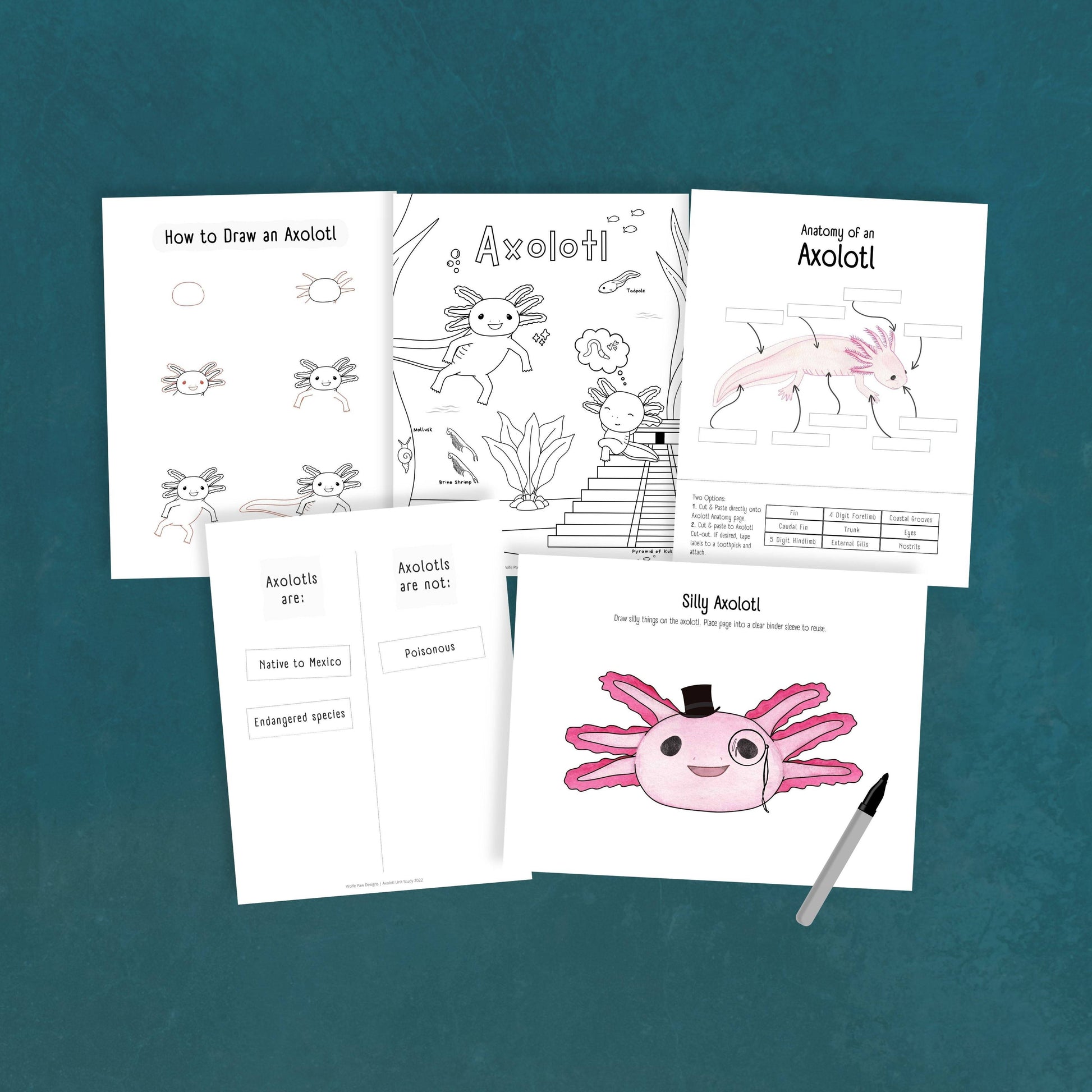 Axolotl Unit Study Educational Homeschool Curricula 