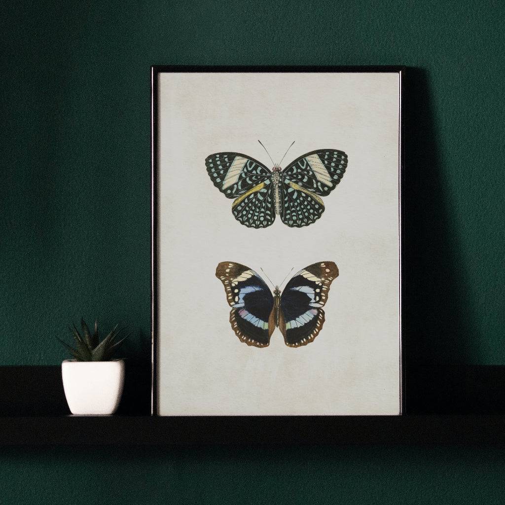 Butterflies Vintage Style Set 1 Digital Print Wall Decor