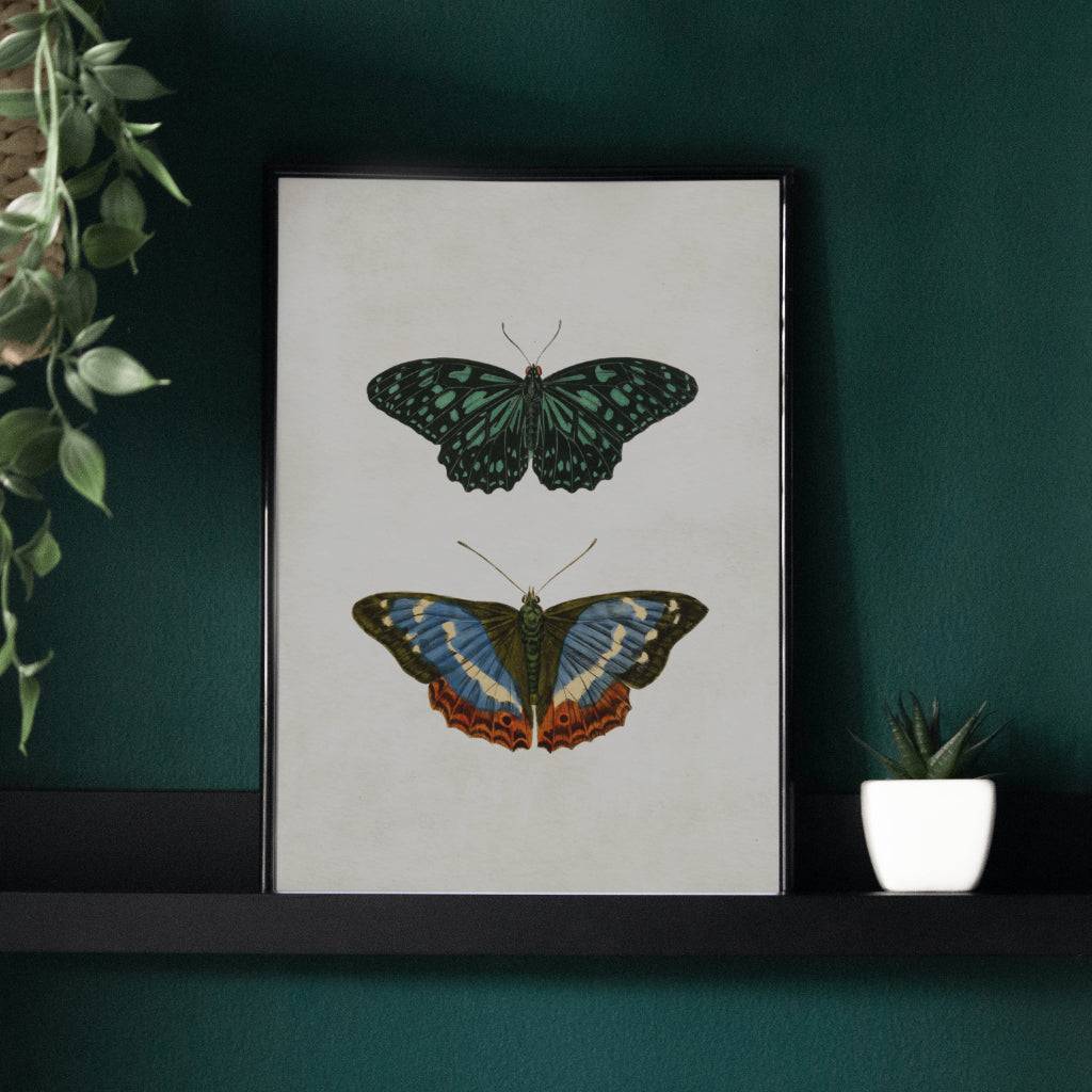 Butterflies Vintage Style Set 2 Digital Print Wall Decor